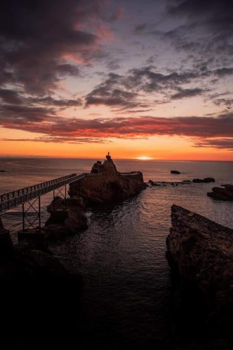 Magnifique T3 - Grande Plage Biarritz Bagian luar foto