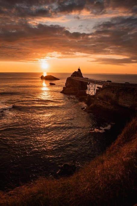 Magnifique T3 - Grande Plage Biarritz Bagian luar foto
